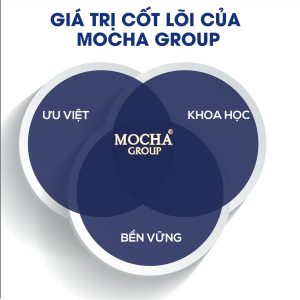 Hệ sinh thái MOCHA GROUP - Giải pháp toàn diện cho thương hiệu làm đẹp